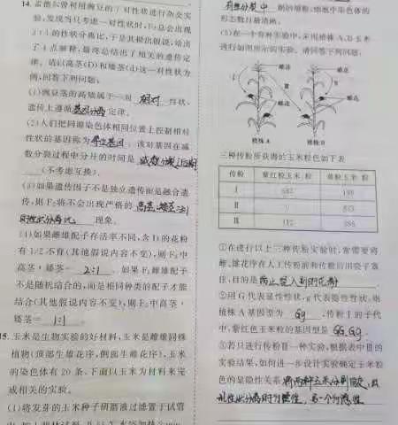 742班10组7月9日生物作业