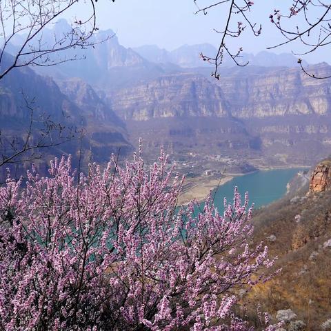 桃花十里笑春风