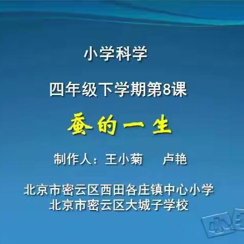 四年级科学线上学习-《8.蚕的一生》