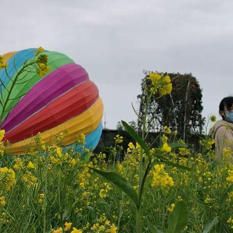 汕头绿梦生态园