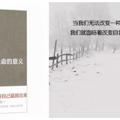 纵有疾风起，人生不言弃 ——《活出生命的意义》