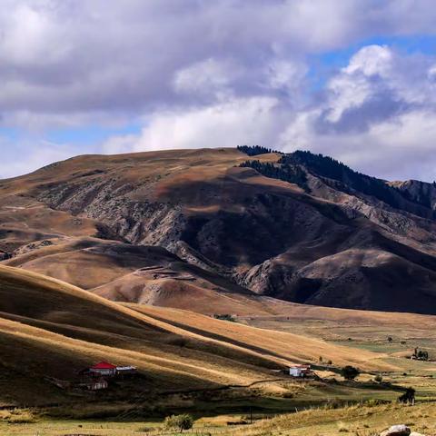 最美的风景在路上 ——特克斯去喀拉峻草原的路上风光