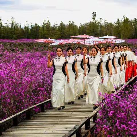 逊克县“花海映靓妆，平台赴春约”首届赏花节