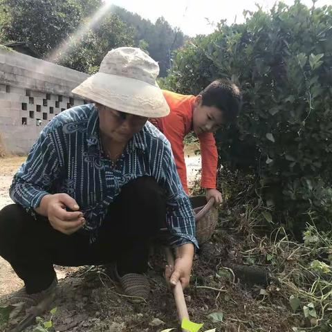 祖国七十岁  我用劳动为您庆生