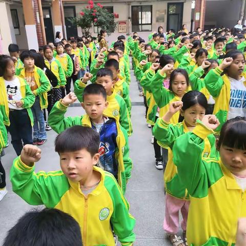 洛宁新宇小学一二班一周回顾