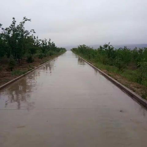 雨中漫步