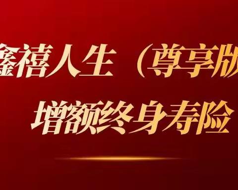 第一梯队黑马增额终身寿：渤海人寿鑫禧人生（尊享版），来围观现金价值吧