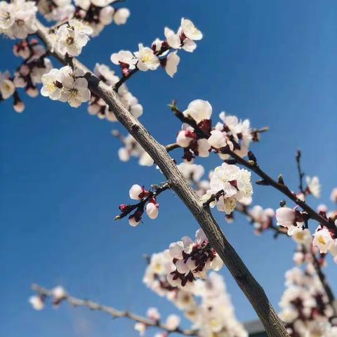 停课不停学，成长不停歇——峡山双语小学幼儿园（总园）线上亲子活动第七周第三十二弹