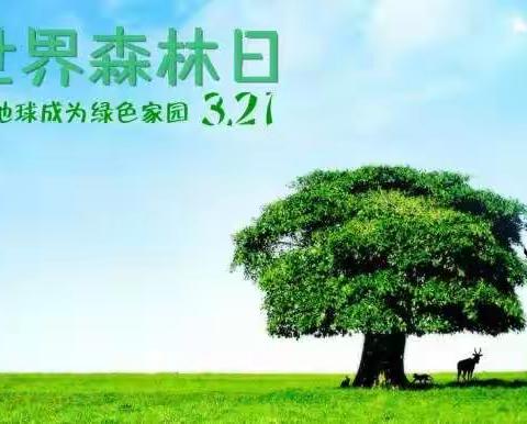 保护森林资源，守护绿色家园——鼎舜小学“世界森林日”活动纪实