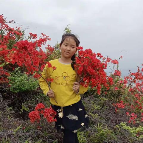 阅读成长记                        于都县第六小学  四(11)班  段伊萌