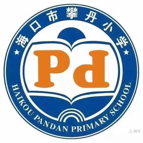 海口市琼山攀丹小学教师教学述评报告