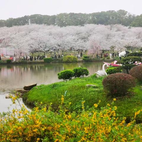 花朝如约聚荆楚 智慧赋能向未来—记银川市优秀校长人工智能领导力研修（8）