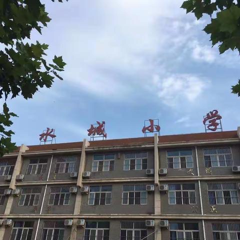 劳动励心智，实践促成长——水城小学三年级劳动纪实