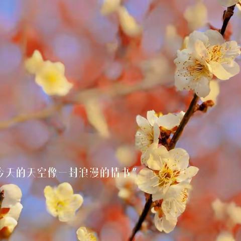 走进自然，快乐成长