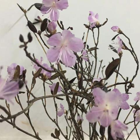 简谈教学与考试
