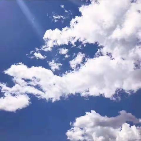 记录我作为网格员上岗的第一个月