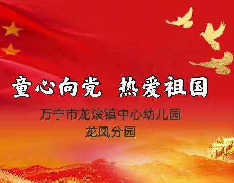 童心向党     热爱祖国——万宁市龙滚镇中心幼儿园龙凤分园庆祝建党100周年