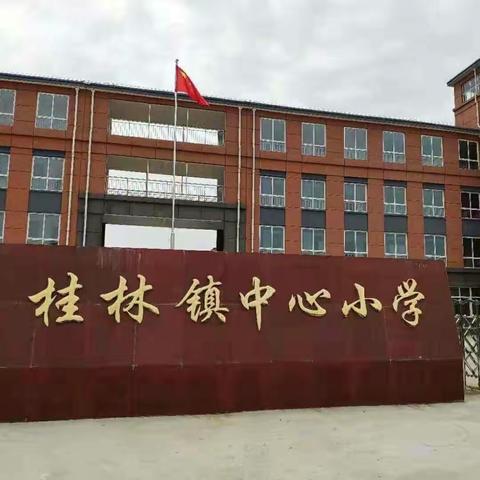 兴趣引领  多元体验——桂林镇中心小学兴趣课堂