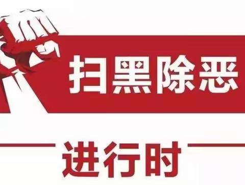 德惠市五台乡中心小学扫黑除恶工作汇报