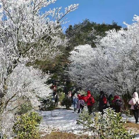 敕木山赏雪