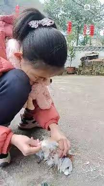 传统游戏—踢毽子