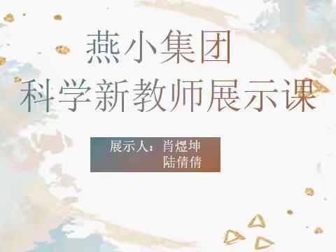 【燕小教育集团•教学】科学新教师展示课活动