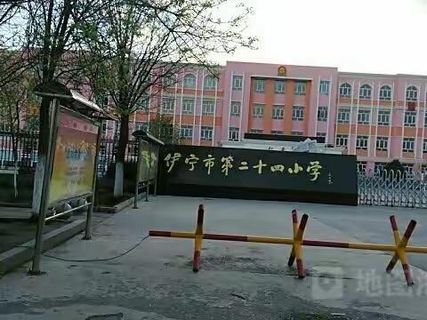 我的小学生活开始啦