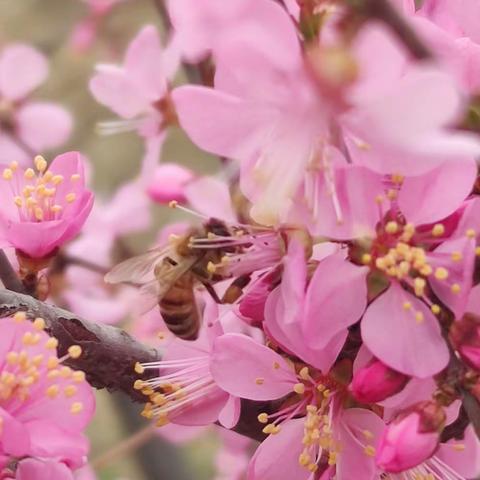 英语教研显成果，学生受益是重点