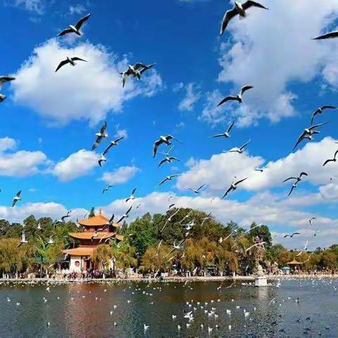 2023舞动云南昆明西双版纳文化交流双卧八日游