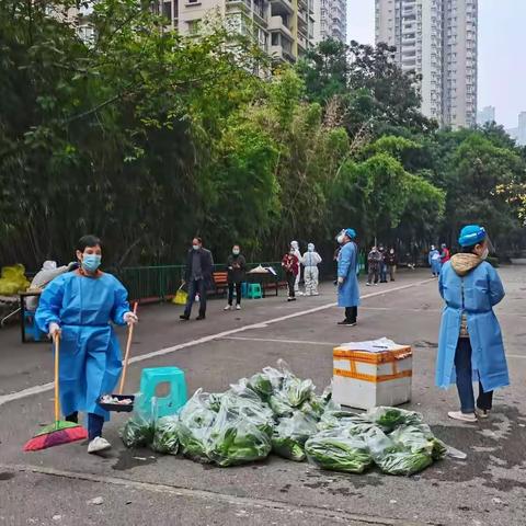 爱心菜之感悟