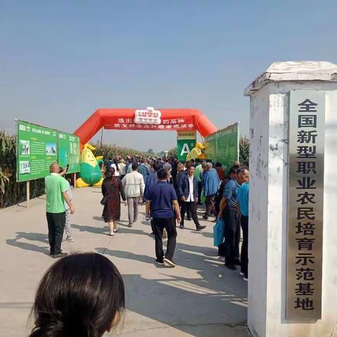肩负央企使命  振兴民族种业