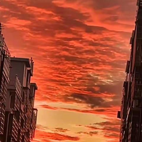 《最新口头禅：今天你万步了吗？》---写在万步有约活动第二天