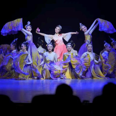 《十八焕蝶》，出采区演：我校代表贵港市参加广西第八届中小学生艺术展演活动