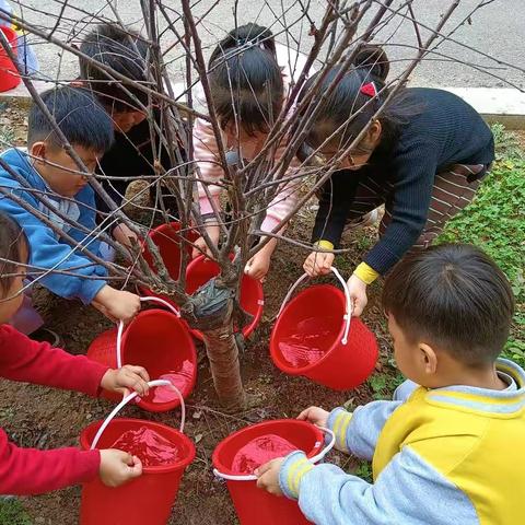 峄城区第二实验幼儿园大一班植树节活动