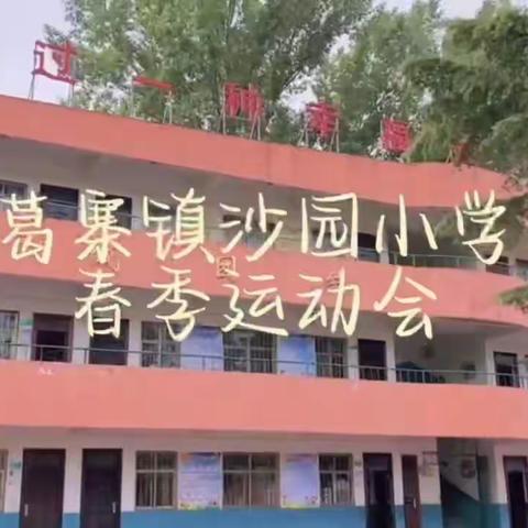 强体魄，展风采——葛寨镇沙园小学春季运动会纪实