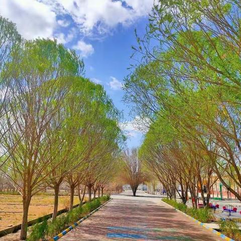 🍀“梨花风起正清明，学子怀敬烈士情”🍀库尔勒市阿瓦提乡喀拉亚尕其教学点清明节主题活动