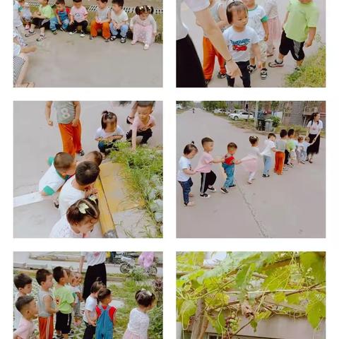 小苹果乐园今日份