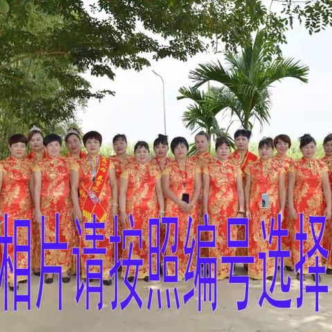 长安晨影数码照相馆（13637500210），岸头黄村出嫁女照片。