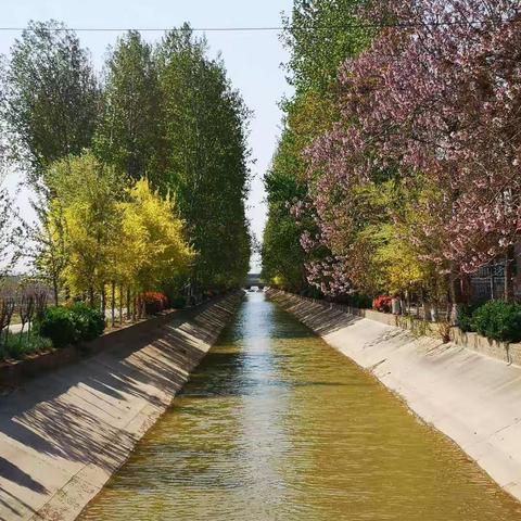 肥乡区城管局狠抓河道治理，优化生态环境