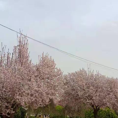 情系学生    爱在家访  ——  一场温馨的“相遇”