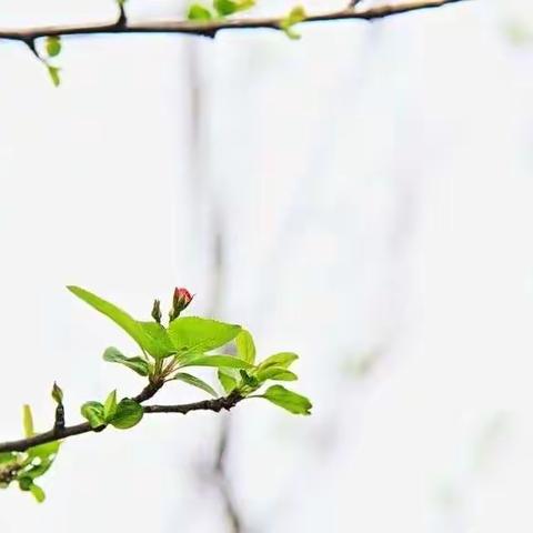 古诗文仿写：七月商洛之韵