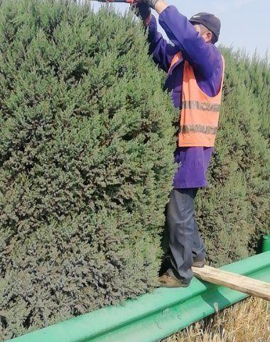 涤生公司开展“正风肃纪强管控暨年度任务攻坚”专项活动