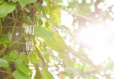 夏日暖风润心田， 集体备课展风采——金银花实验学校一语组集体备课纪实