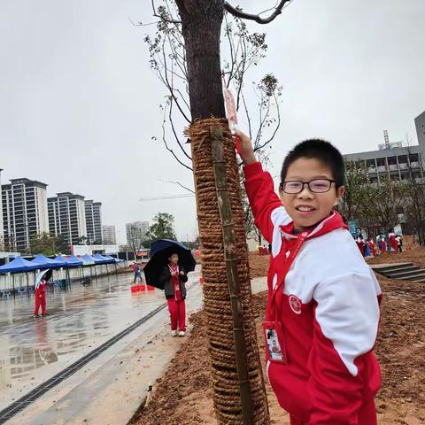 我和我在北大附中莆田学校的这颗树