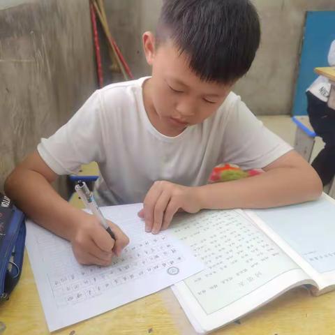 写规范字，做正直人一木兰中小学延时服务书法兴趣课