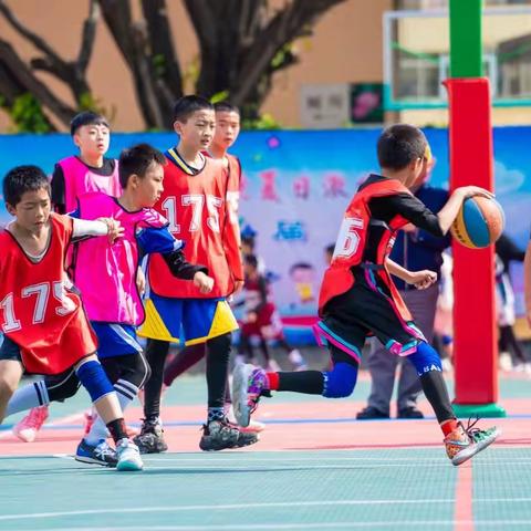 翱翔赛场筑梦，点燃夏日激情——大理市下关第七完全小学夏季运动会——篮球篇