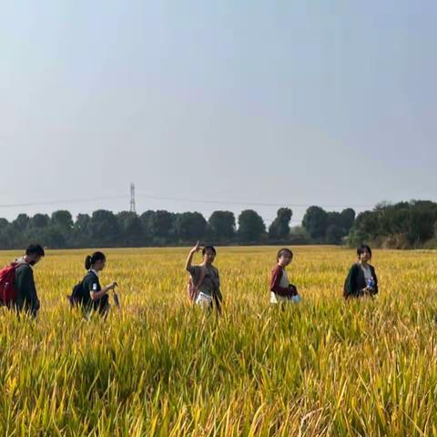 走进美丽乡村 耕读紫薇田园