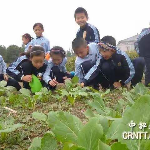 【河北小学-作物种植】课程招新啦