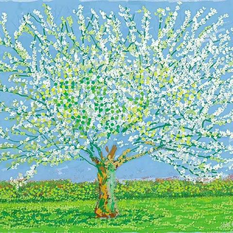 佳禾画室2024春季招生