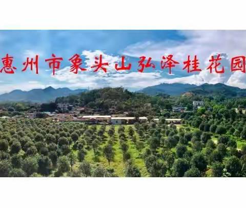 惠州市象头山弘泽桂花园
